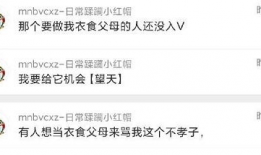 吃瓜爆料在哪里找,吃瓜爆料，揭秘娱乐圈幕后真相