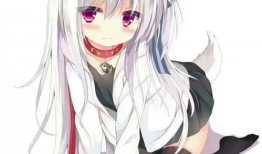 动漫截图,探寻角色背后的故事与情感